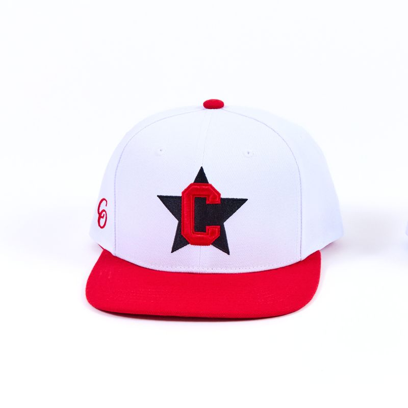 Team Snapback