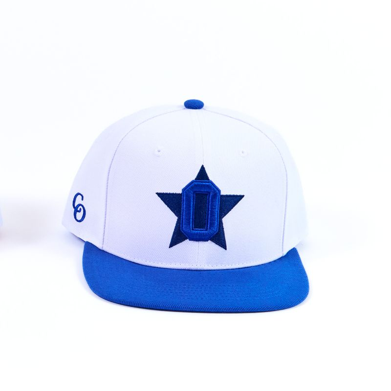 Team Snapback